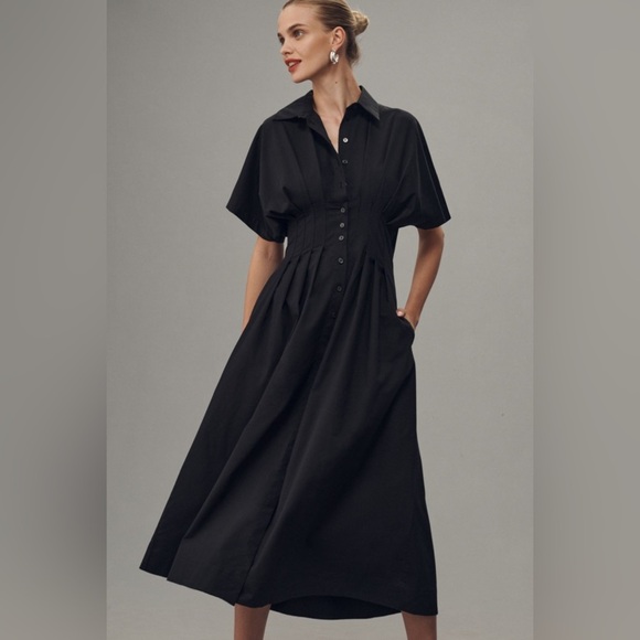 The Tobie Button-Front Pleated Shirt Dress - Picture 3 of 10